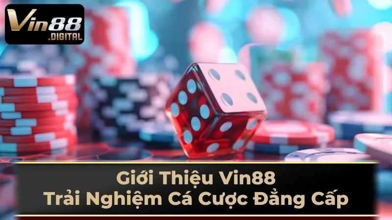 Đội Ngũ Hỗ Trợ Chuyên Nghiệp Tại Vin88